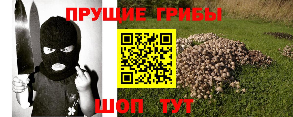 Галлюциногенные грибы GOLDEN TEACHER  Вход с VPN  Галлюциногенные грибы мухоморы  Волжский 