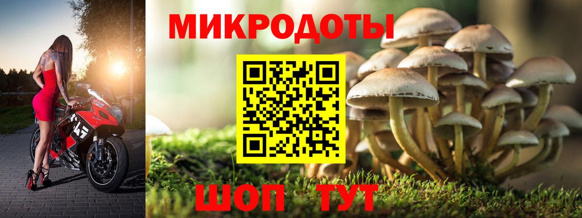 Псилоцибиновые грибы Psilocybine cubensis Волжский